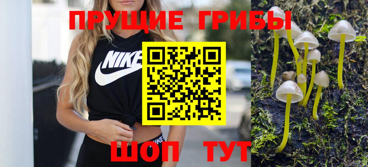 Железногорск  Галлюциногенные грибы Psilocybine cubensis  Вход с VPN 